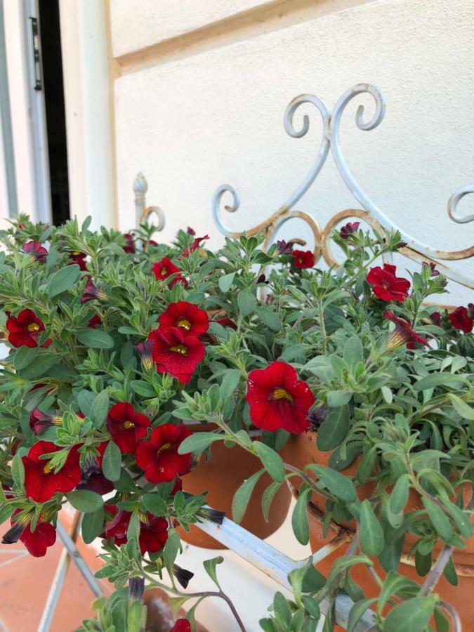 B & B Da Ferro Massarosa Εξωτερικό φωτογραφία