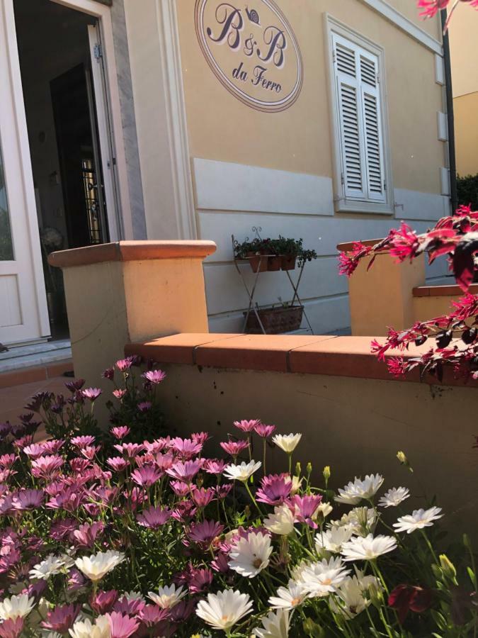 B & B Da Ferro Massarosa Εξωτερικό φωτογραφία